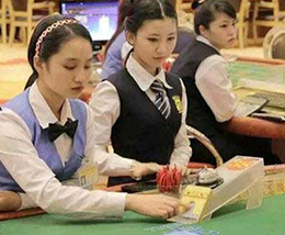 華納國(guó)際實(shí)業(yè)有限公司在職員工1300余人